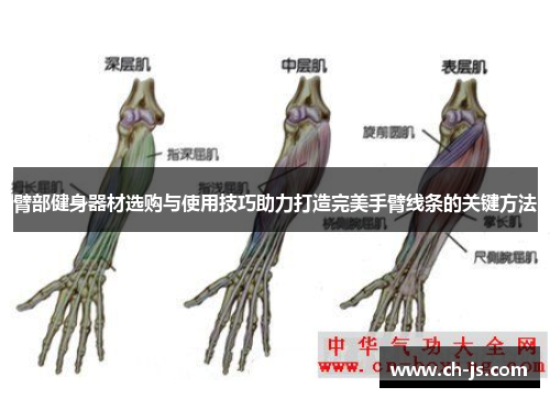 臂部健身器材选购与使用技巧助力打造完美手臂线条的关键方法