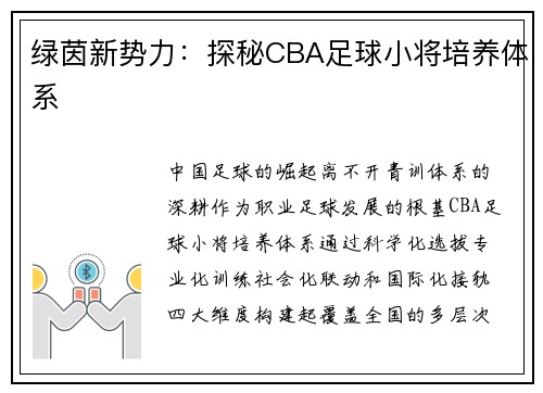 绿茵新势力：探秘CBA足球小将培养体系