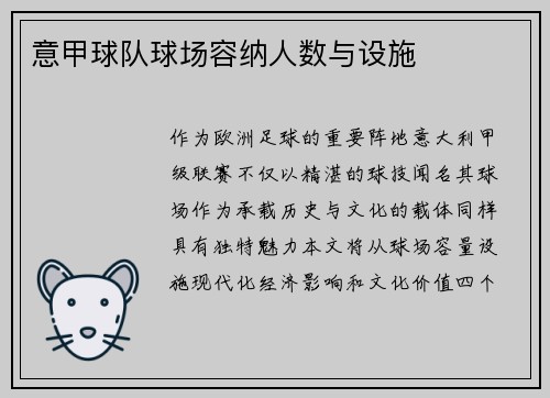 意甲球队球场容纳人数与设施